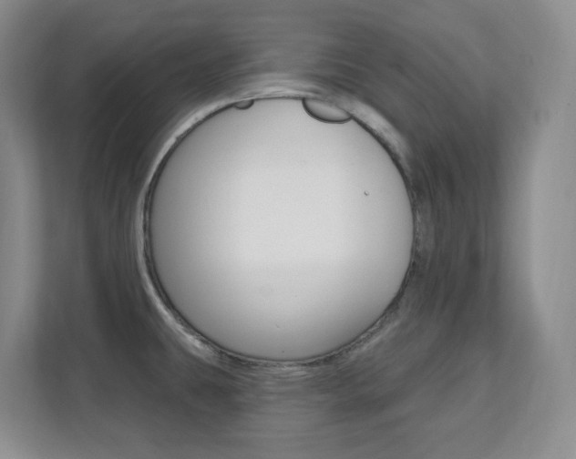 X0000112081431200908041002