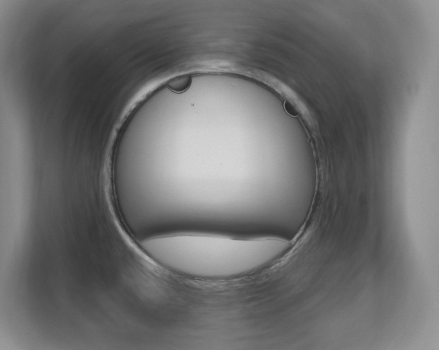 X0000112081432200908041002