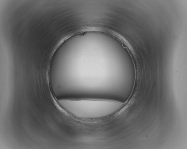 X0000112081433200908041002