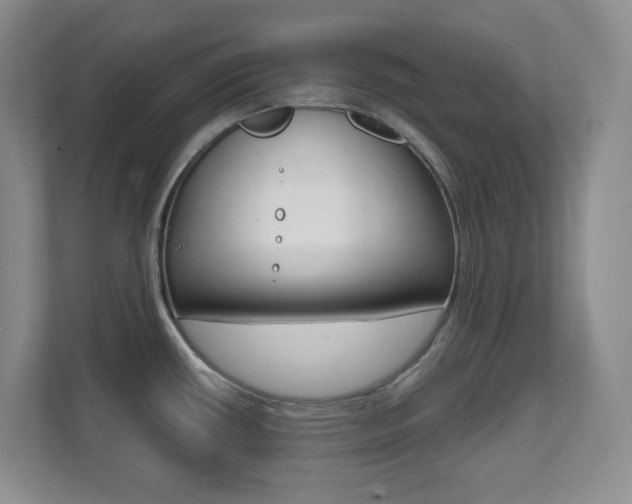 X0000112081434200908041002