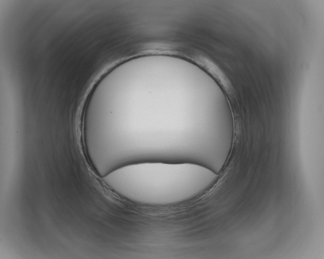 X0000112081435200908041002