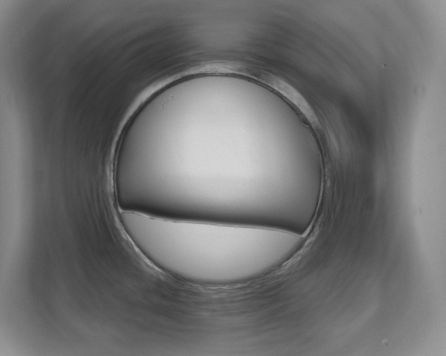 X0000112081436200908041002