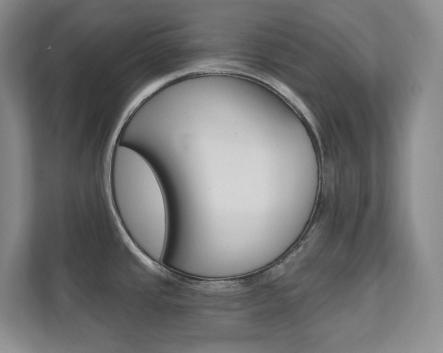 X0000112081437200908041002