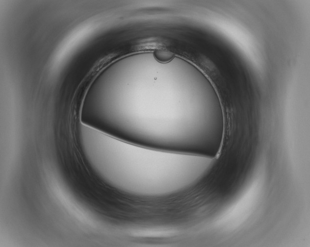 X0000112081438200908041002