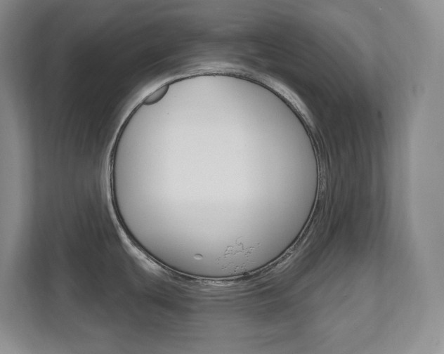 X0000112081439200908041002