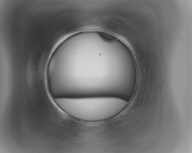 X0000112081440200908041002