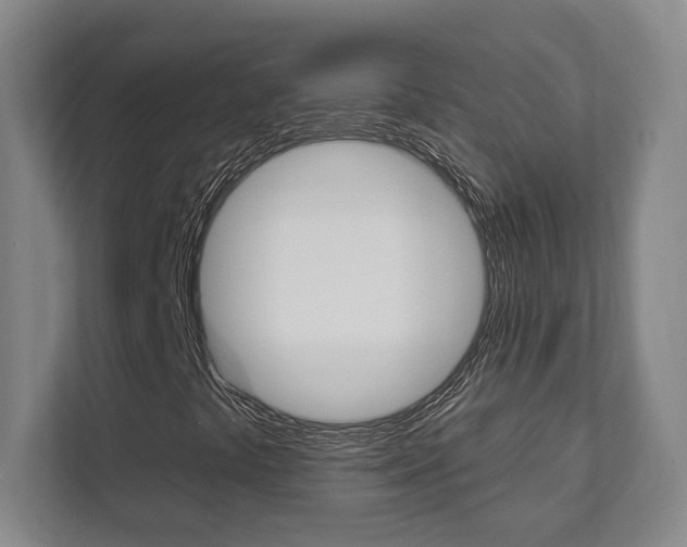 X0000112081441200908041001