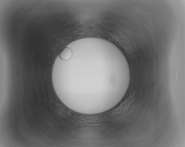 X0000112081443200908041001