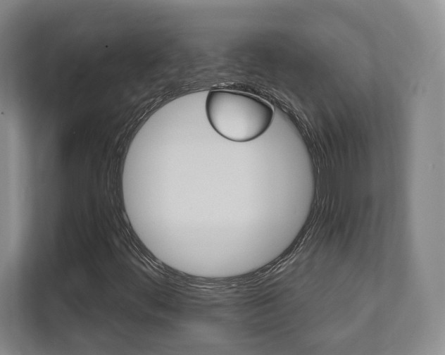 X0000112081444200908041001