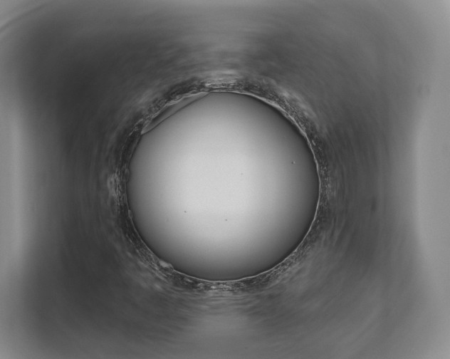 X0000112081445200908041001