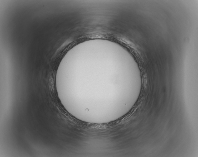 X0000112081446200908041001