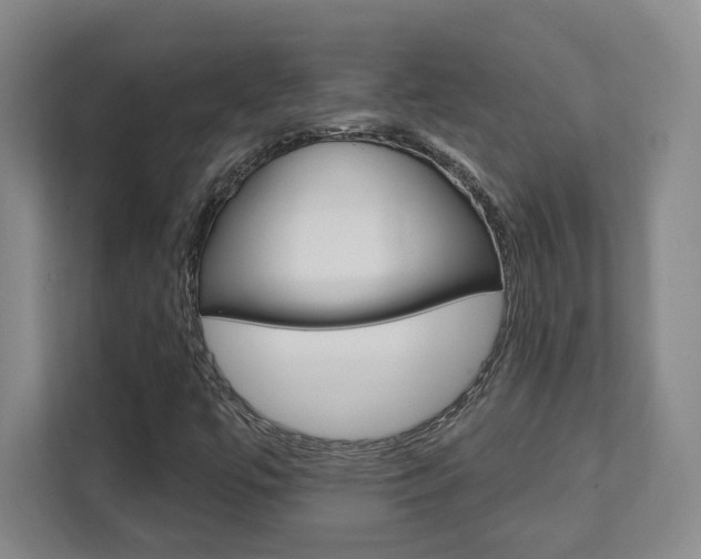 X0000112081447200908041001