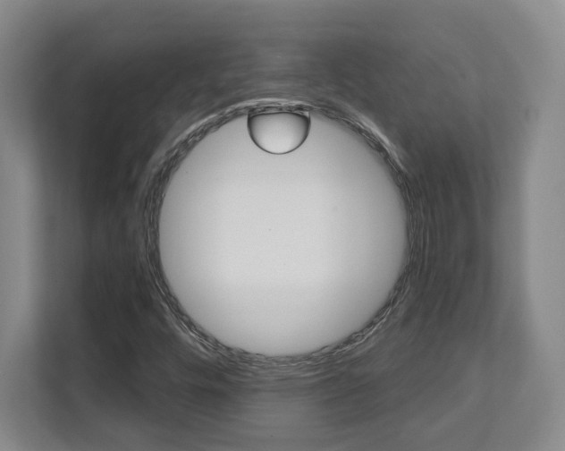 X0000112081448200908041001