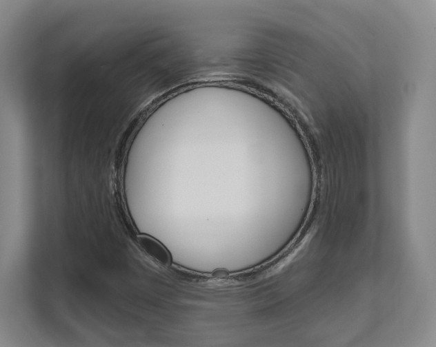 X0000112081449200908041001