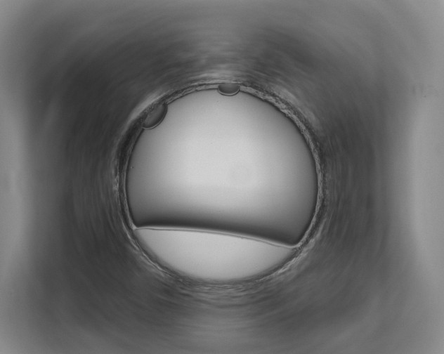 X0000112081450200908041001