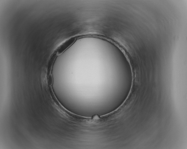 X0000112081452200908041001