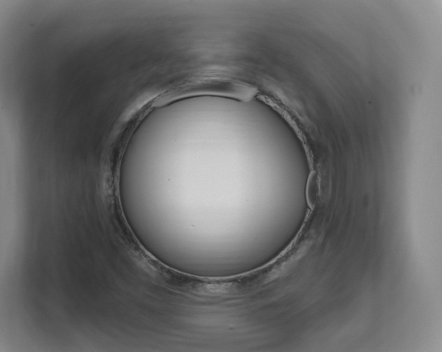 X0000112081453200908041001