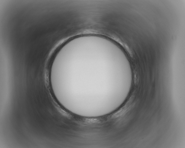X0000112081454200908041001