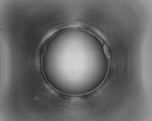 X0000112081456200908041001