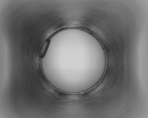 X0000112081457200908041001