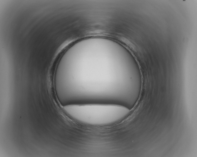 X0000112081458200908041001
