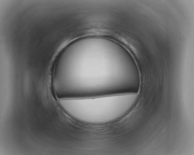 X0000112081459200908041001