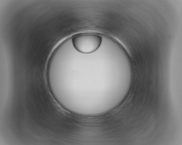 X0000112081460200908041001