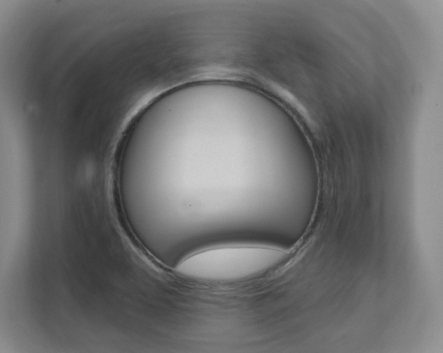 X0000112081463200908041001