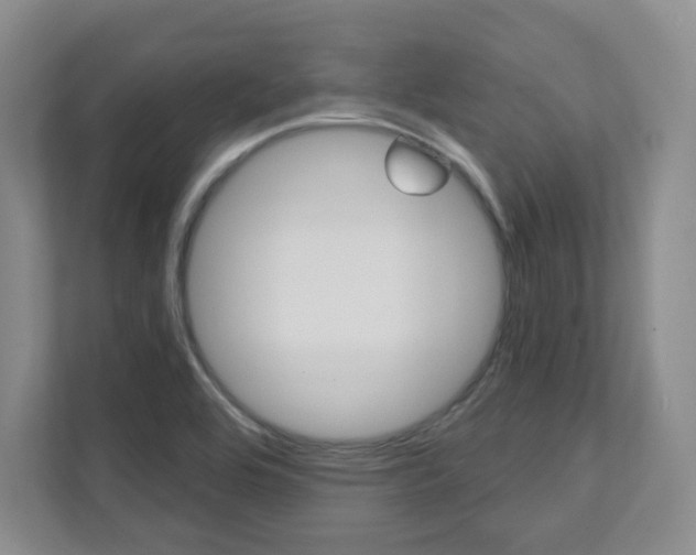 X0000112081464200908041001