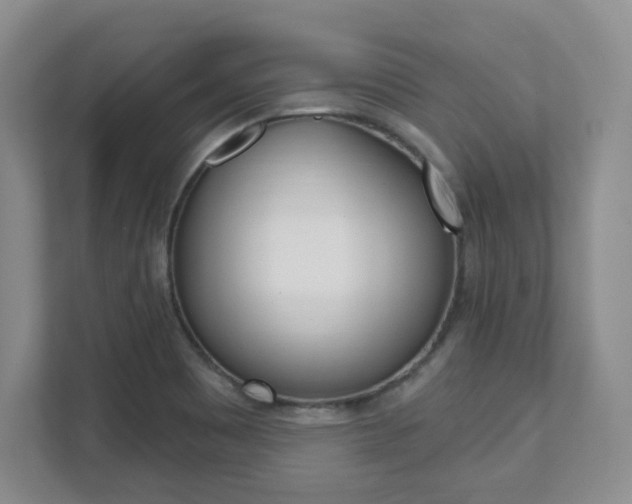 X0000112081465200908041001