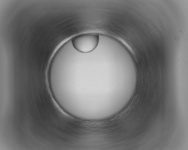 X0000112081468200908041001