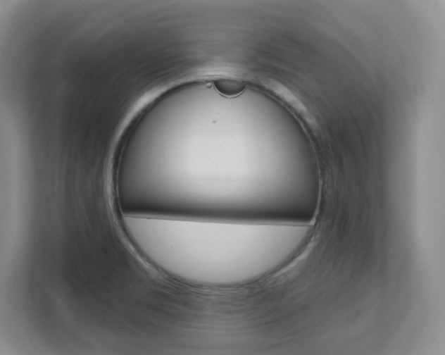 X0000112081469200908041001