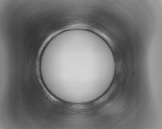 X0000112081470200908041001