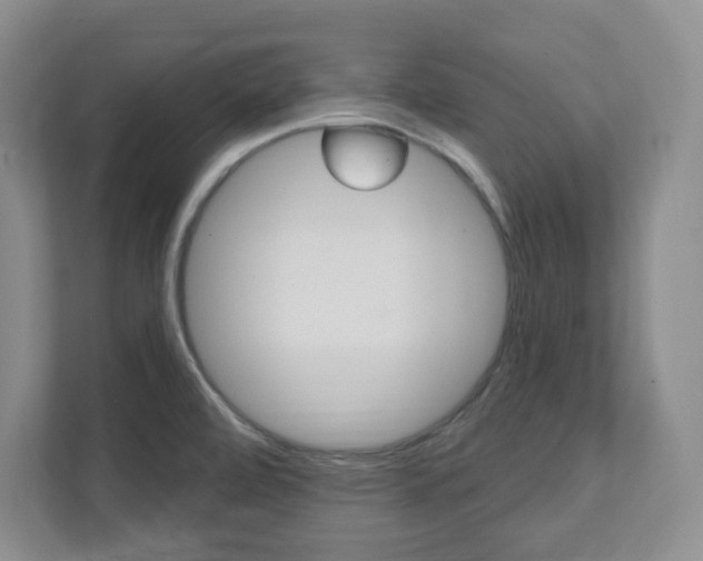 X0000112081472200908041001