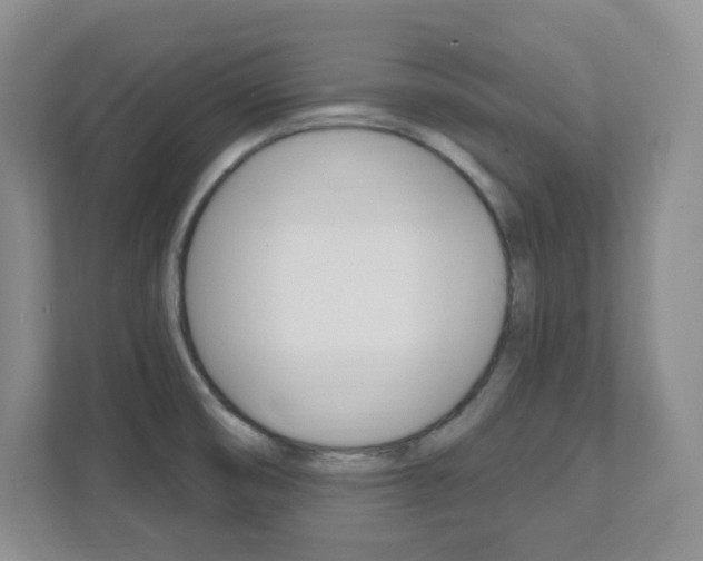 X0000112081474200908041001