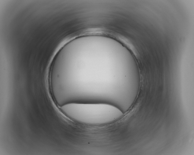 X0000112081475200908041001