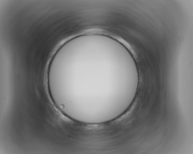 X0000112081478200908041001