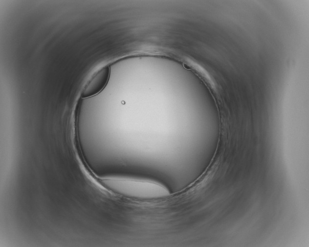 X0000112081479200908041001