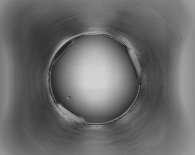X0000112081484200908041000
