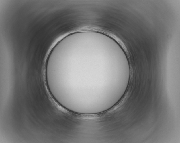 X0000112081486200908041000