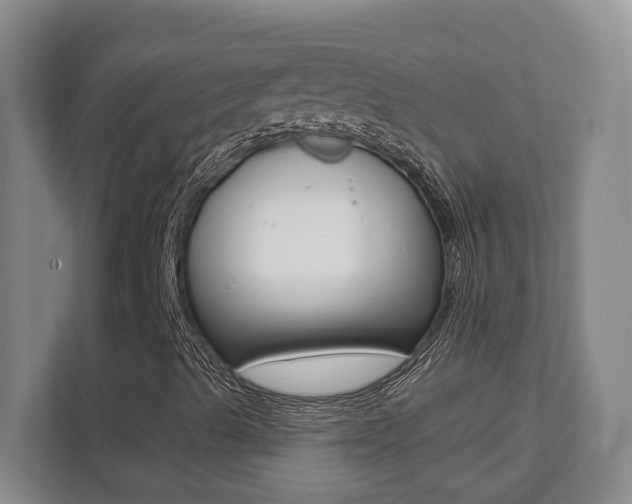 X0000112081489200908041000