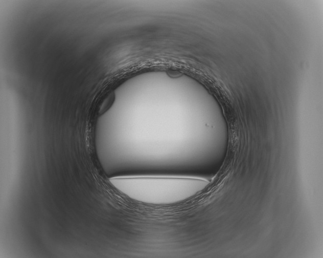 X0000112081490200908041000