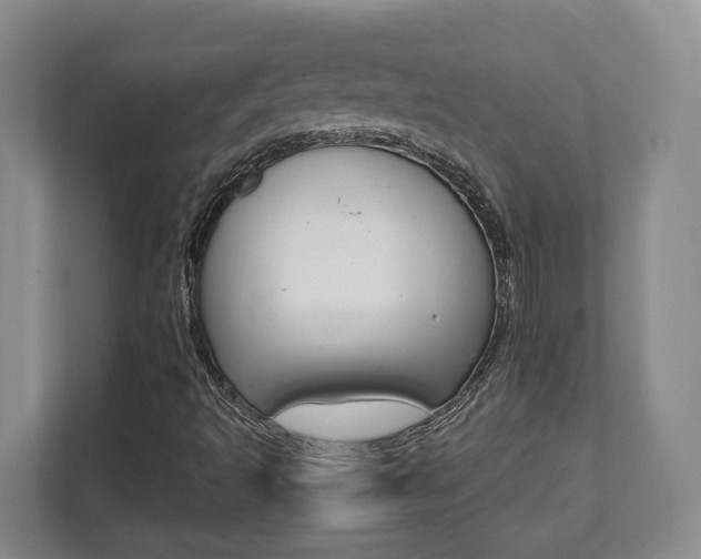 X0000112081493200908041000