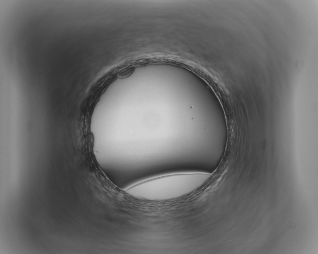 X0000112081494200908041000