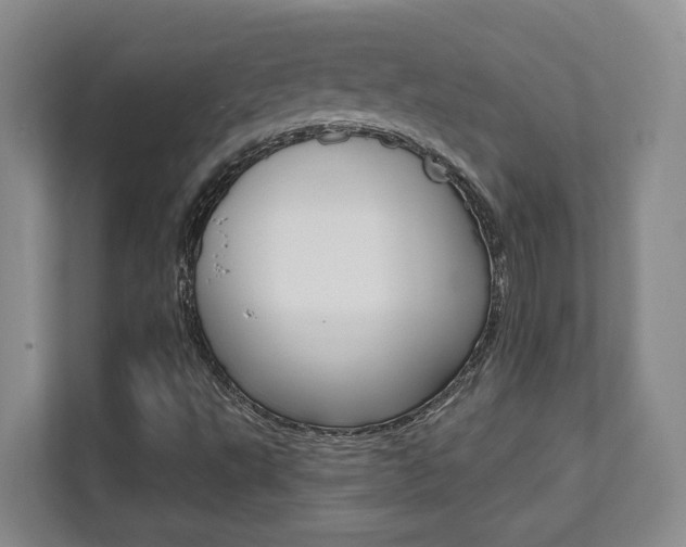 X0000112081495200908041000