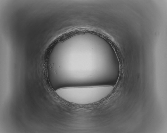 X0000112081496200908041000