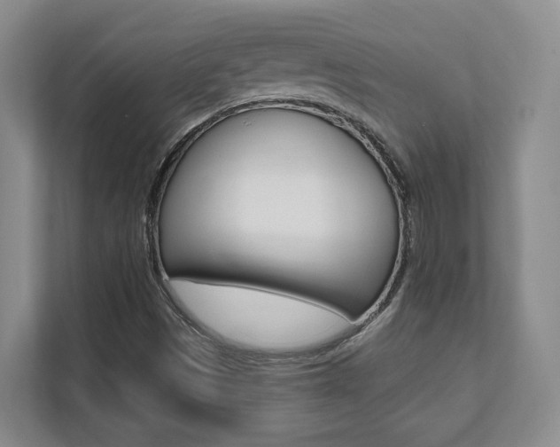 X0000112081497200908041000