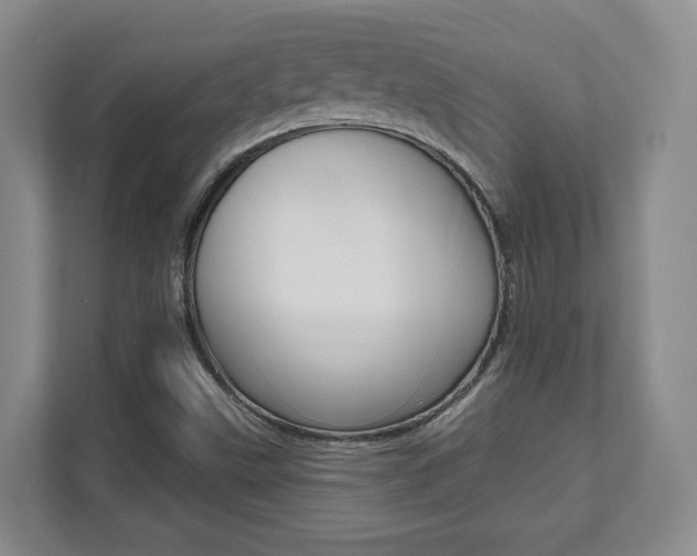 X0000112081499200908041000