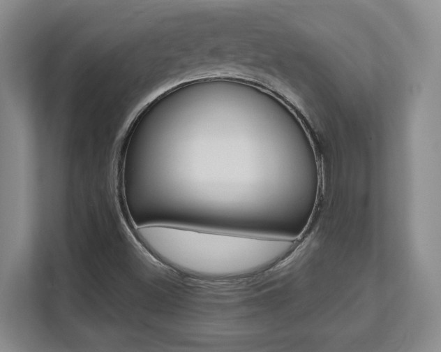X0000112081500200908041000