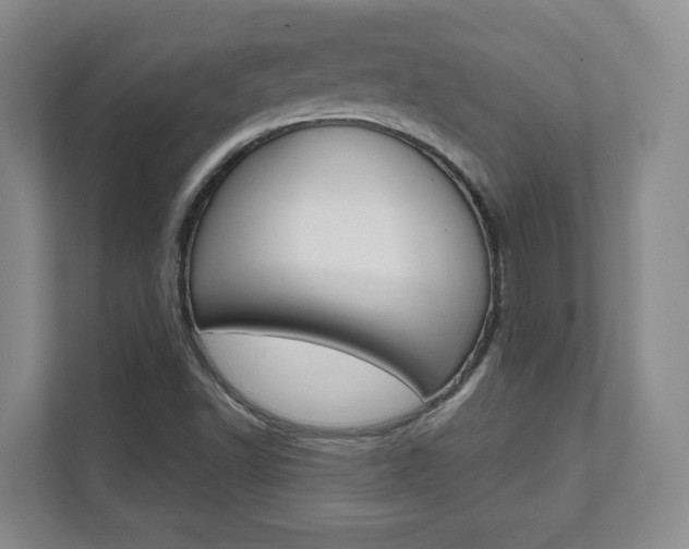 X0000112081502200908041000